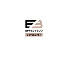 Будівельна компанія "Effectbud Developer"